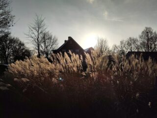 Docs: De heks van Bronckhorst