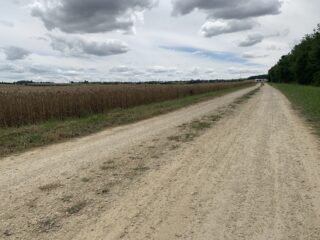 De stilte op de strook