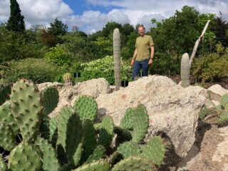 In de evolutietuin maak je een tijdreis door 900 miljoen jaar plantenevolutie