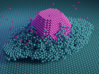 'Om de grootste problemen op te lossen, moet je het allerkleinste te begrijpen'