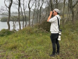 Vogeltrek is losgebarsten: 'Echt een hoogtepunt in het jaar voor mij'