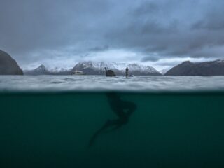 De oceaan: grootste ecosysteem op aarde 'vrijwel onbeschermd en onbekend'