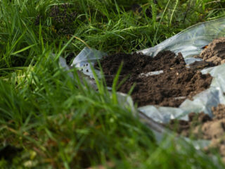 Waarom Utrechters gevraagd worden om hun onderbroek te begraven