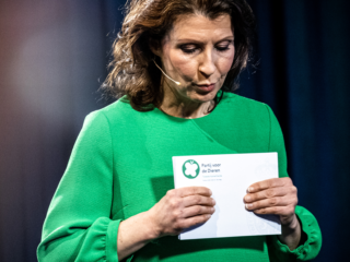 'PvdD was tot voor kort een heel goed alternatief voor GroenLinks-PvdA'