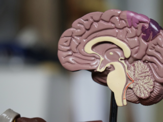 Leven met MSA, een agressieve vorm van Parkinson: 'Alles kost moeite'