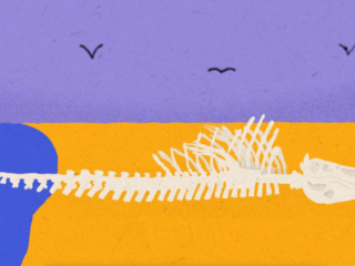 Vechtende mammoetstieren: Zo klonk Nederland 150 duizend jaar geleden!