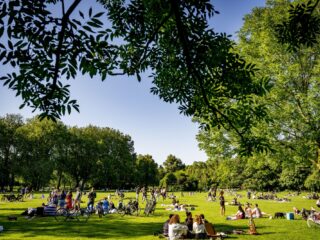 Natuur als bondgenoot in plaats van een rampen-veroorzakende kwade kracht