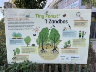 Tiny Forest: een kleine jungle naast de school