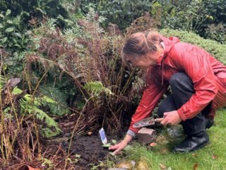 Plant je bomen, struiken en planten in het najaar