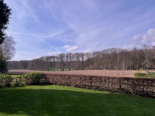 Actie tegen fastfooddrive-in aan rand van de natuur in Rheden