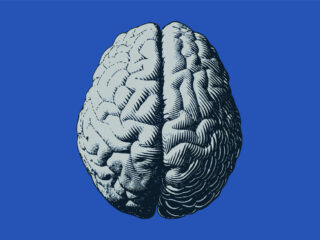 Wat gebeurt er in de hersenen als mensen bidden? 'Het is meer dan in jezelf praten'