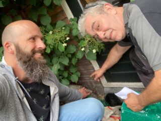 Met deze tips houd je je huis vrij van muizen