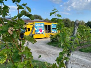 Nederlandse wijn is goed, maar hoe krijg je dat tussen de oren?