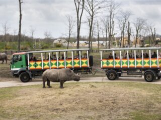 Zo stelde directeur Van Engelen orde op zaken bij Wildlands in Emmen