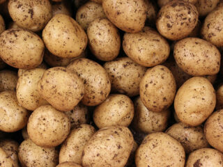 Voedzaamheid gewassen neemt af door toename van CO2