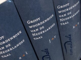 Geen Nederlands, geen bijstand: 'Gemeenten zouden taaleis strenger moeten handhaven'