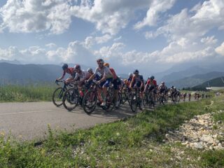 Afzien als gemene deler