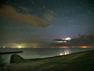 Podcast Kennis & Co: Het licht moet uit om onze insecten te redden