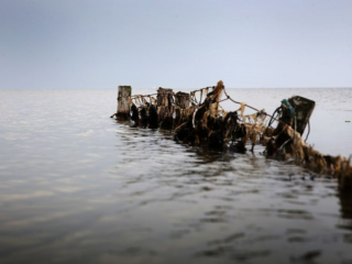 Hoe kan de Waddenzee de Werelderfgoedstatus behouden?