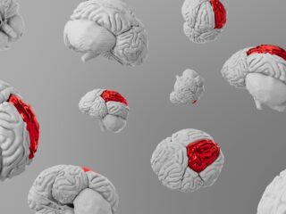 Hoe ultrasound kan helpen met het maken van (betere) keuzes