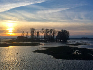 Hoogwater in Biesbosch: het is zeldzaam en belangrijk