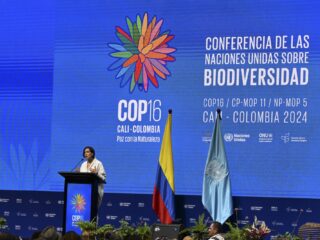 Nederland schittert door afwezigheid op biodiversiteitstop: 'Te droevig voor woorden'