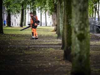'Omarm de bladeren' als voeding voor de grond: 'Gemeentes, stop met bladblazen'