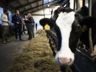 Meer biodiversiteit? 'Betaal boeren om dit te realiseren'