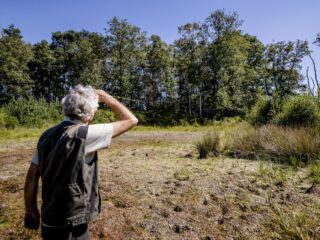 Boswachters zien grote problemen in Nederland: 'Natuur staat aan alle kanten onder druk'