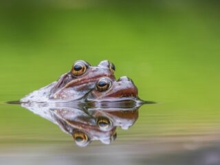 'Natuur, dat is iets waar je je pas om bekommert als al het andere is geregeld'
