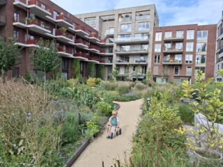 'Bouwen, bouwen, bouwen': Maar hoe zit het met collectief wonen?