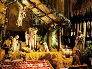 Niet in de bijbel, maar wel in de kerststal: het verhaal van de os en de ezel