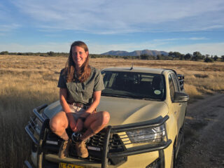 Blinddate tussen twee leeuwen in 'Dierendokter in het Wild'