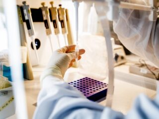 Wie is de echte dader? Hoe DNA-onderzoek uitsluitsel biedt tussen tweelingen in een verkrachtingszaak