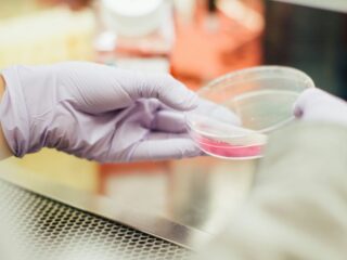 Wat doe je met overgebleven embryo's uit een IVF-traject?