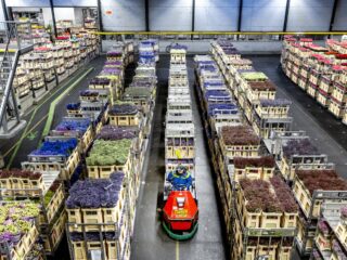 Plastic bloemen beter dan echte bloemen? 'Een investering in duurzaamheid'