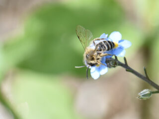 Hoe kunnen natuur en klimaat grotere rol spelen in onderwijs?
