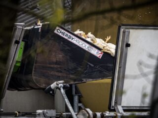 Vogelgriep slaat wild om zich heen: 'Gaat niet meer weg, moeten drastische maatregelen nemen'