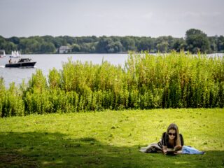 Stand.nl: 'Ik wil meer groen in mijn wijk'