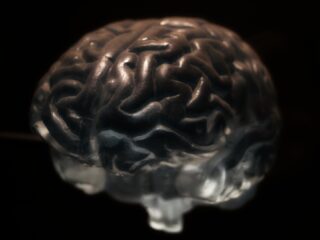 Het laatste grote mysterie - ons bewustzijn - is na 25 jaar nog steeds niet opgelost