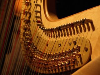 Harp van 5000 euro nu voor prikkie na faillissement: mag dat wel?