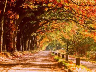 'Laten we volhouden in wat we doen, duurzaam leven en waar nodig met zo’n grijparmpje afval oprapen'