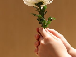 Eigen regie over leven én dood