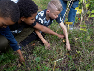 Schooltuinen zitten volop in oogsttijd
