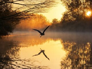 Miljoenen minder naar Nederlandse Nationale Parken: gevolgen zijn groot