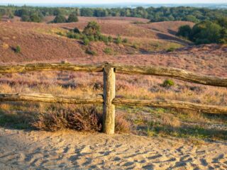 Ecologische Autoriteit waarschuwt voor 'fixatie op stikstof'