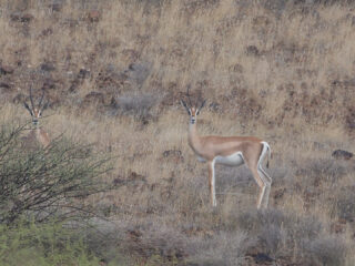 Op expeditie in het extreme noorden van Kenia