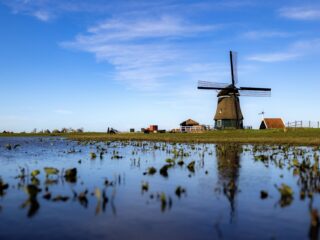 Waarom noemen we Nederland ook wel 'het kikkerlandje'?