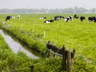 LTO-voorman Van der Tak hint op een Landbouwakkoord