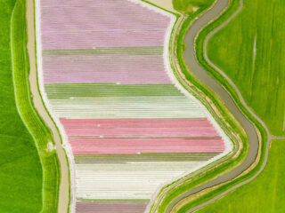 Fotograaf Loek Buter: 'Onze volksaard is terug te zien in ons landschap'